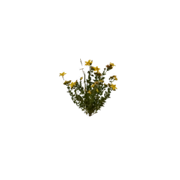 SunleafCluster