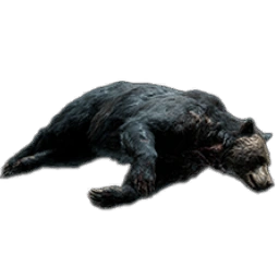 BearCarcass