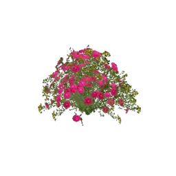 BlossomveilBush
