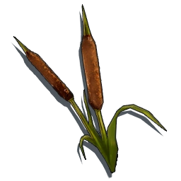 RiverReed