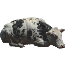 BullCarcass