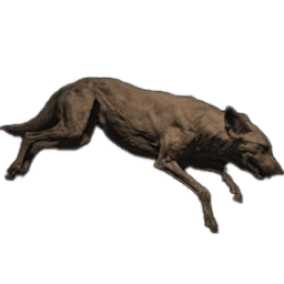 FeralDogCarcass