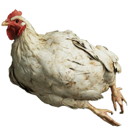 ChickenCarcass
