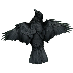 CrowCarcass
