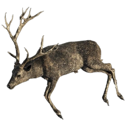 DeerCarcass