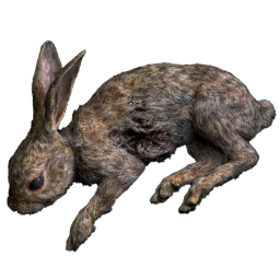 RabbitCarcass