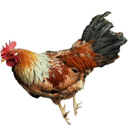 RoosterCarcass
