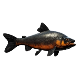 MoltenBlackfin