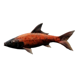CrimsonDartfish