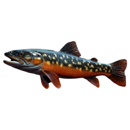 OrangeSnapper