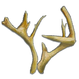 StagHorns