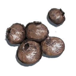 DriedBerries