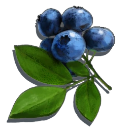 Berry