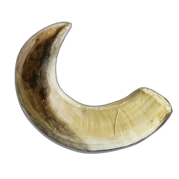 BoarTusk