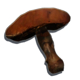 BurntMushroom