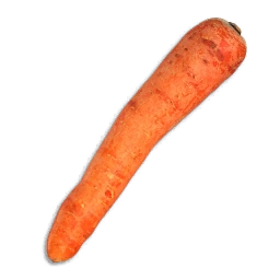 Carrot