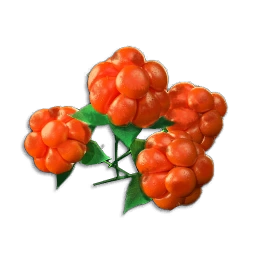 Cloudberry