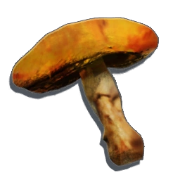 RoastedMushroom