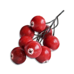 Cranberry
