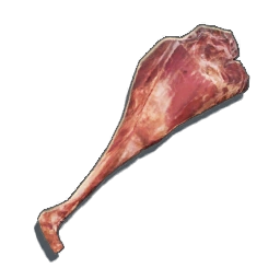 PieceRawMeat