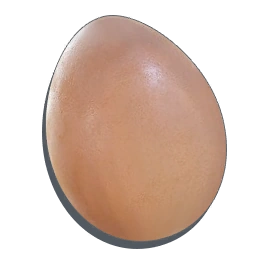 Egg