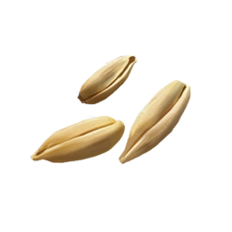 Grains