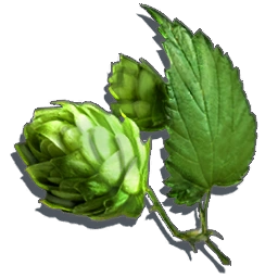 Hops