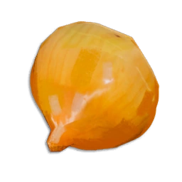 Onion