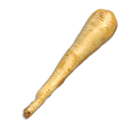 Parsnip