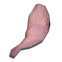 SmallPieceRawMeat
