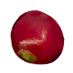 Radish