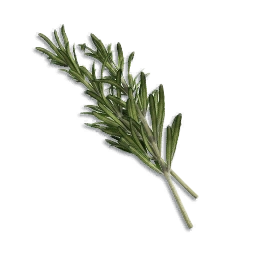 Rosemary