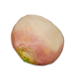 Turnip