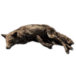 FoxCarcass