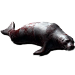 SealCarcass