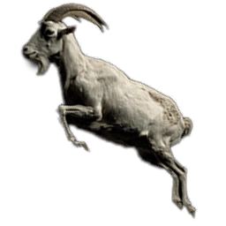 RamCarcass