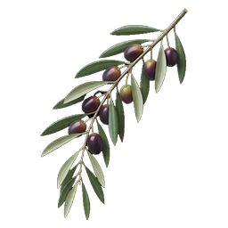 Olive