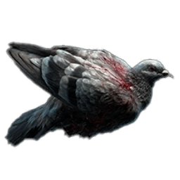 PigeonCarcass