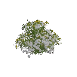 SnowpetalBunch