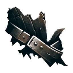 Strap