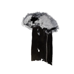 WinterCloak_1